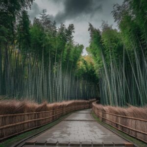 Arashiyama-Bamboo-Grove